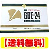 Asahi Food Healthcare ginkgo biloba extract GBE-24 FORTE 120mg 180 tablets