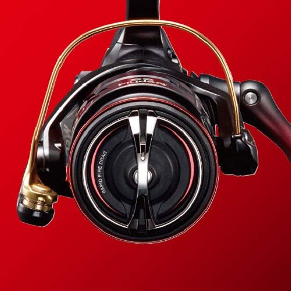 Shimano 19 Sephia SS C3000S/C3000SHG/C3000SDH/C3000SDHHG Spinning