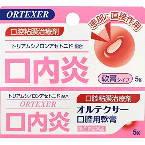 Ortexer oral ointment 5g x 2