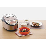 Tiger JKT-S10A Induction Rice Cooker For Overseas, 5 Cup, 220-240V, Made in Japan