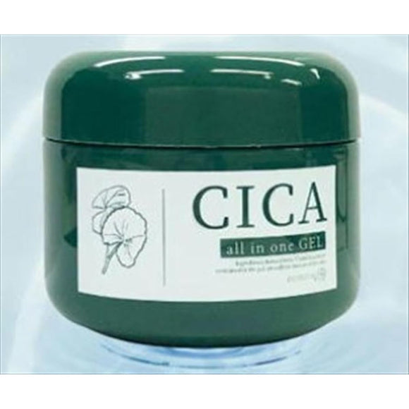 Picomonte All-in-one Gel CICA 250g – Goods Of Japan