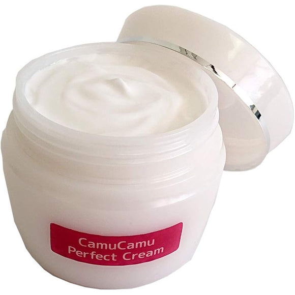 Fureai Seikatsukan Yamano Kamkam Perfect Skin Care Cream All-in-one From lotion to cream in one Time-saving care Moisturizing