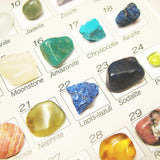TOKYO SCIENCE GEMspecimens45 Gem Mineral Specimen Collection