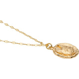 [VA Vendome Aoyama] K10 Cat Coin Necklace [Product eligible for Me&Cats donation] GJVN045555YG