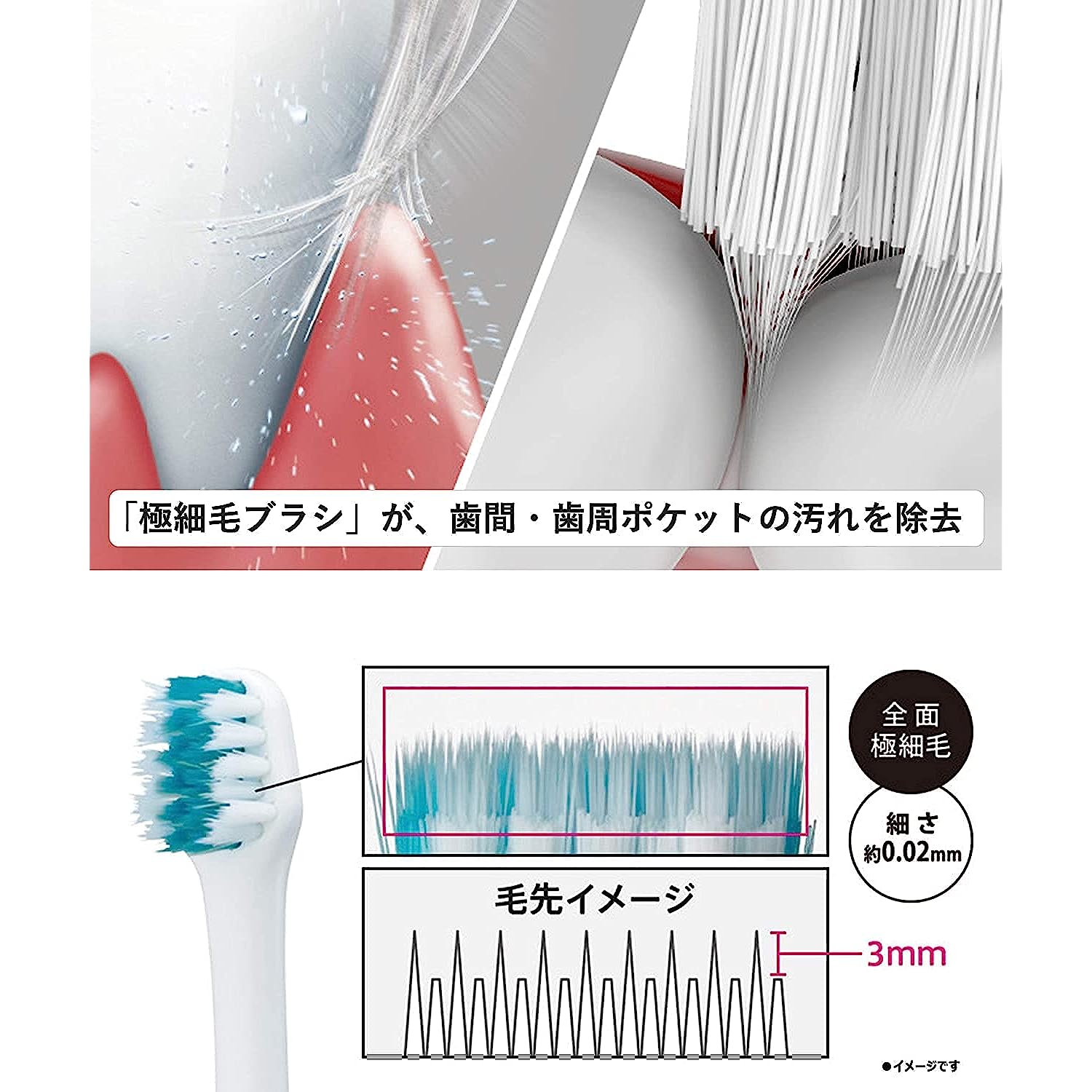 Panasonic EW-DM62-W Doltz Electric Toothbrush, White|Power Toothbrushes –  Goods Of Japan