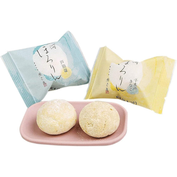 Gashinen Japanese Style Cookies [Suruga Hororin 12 Pieces] Souvenir 