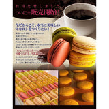 Kashio Morin Supreme Macarons 15 pieces (Assortment of 8 flavors of chocolate cakes) Individually wrapped