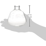 Hario (hario) Coffee Siphon Next For NXA – 5 Bottom Ball Bl – NXA – 5