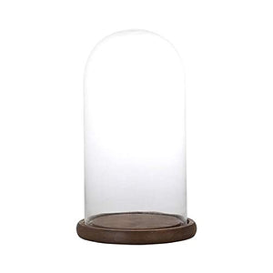 Dulton Glass Dome Display Supplies, Small Size Glass DOME SG1945-1WS