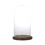 Dulton Glass Dome Display Supplies, Small Size Glass DOME SG1945-1WS