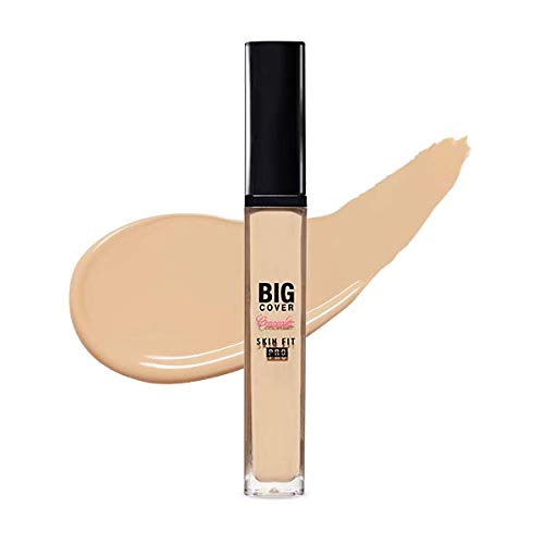 ETUDE Big Cover Fit Concealer Tan [Concealer, dark circles, acne scars, scars, pore cover] 7g