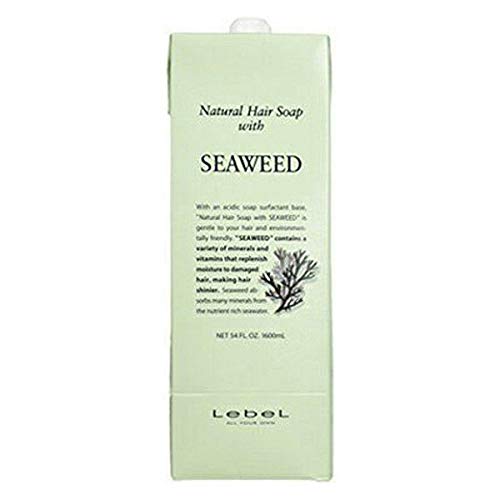 LebeL natural hair soap with SW 1600ml (shampoo) (for refilling)