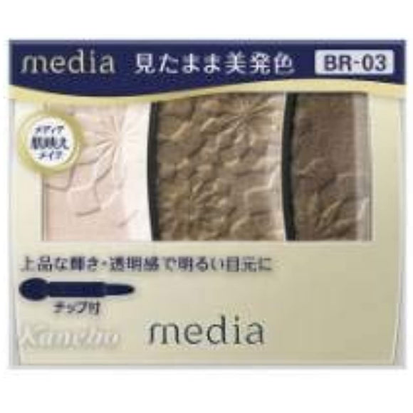 [Kanebo] Media grade color eyeshadow BR-03