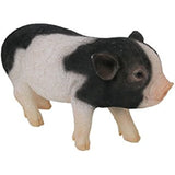 PET BANK Micro Pig Pet Bank Micro Pig SPOT 972