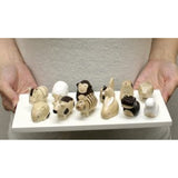 T-Lab Wooden Carving Animal Interior Wooden Shrimp Set