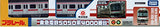 Takara Tomy Original Plarail Tokyu Dentetsu 5050 Series 4000 Series