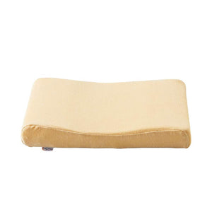 Shop Japan TRS-NEOP True Sleeper Neoir Pillow