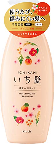 Ichikami Dense W Moisturizing Care Shampoo Pump 480ml