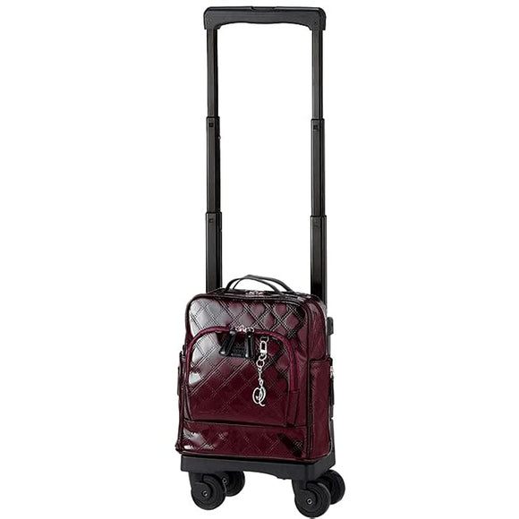 SWANY D-555 Emilo V TS15 Carrying Bag, Bordeaux with 4 Wheel Stopper