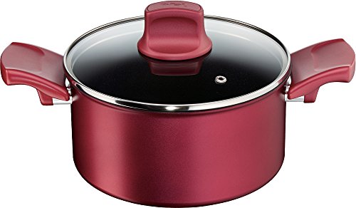 Tefal two-handed pan 20cm IH compatible IH Ruby Excellence Stew Pan Titanium Extra 4-layer coating C62244 T-fal with handle