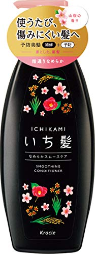 Ichikami Smooth Care Conditioner Pump 480g