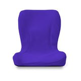 P. nto Beauty Correct Posture for Habits Beanbag Cushion (Beauty) Pinto Pint Beauty [Blue]