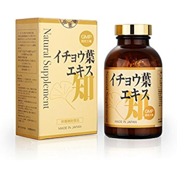 Natural Supplement Ginkgo Leaf Extract Chi 360 tablets