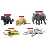 Takara Tomy Challenge Treasure Tours, Ania, Ages 3 and Up