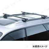 Carmate Intr Roof Carrier, Inno Square Base, Base Stay, Basic Stay, Direct Roof Rail Type