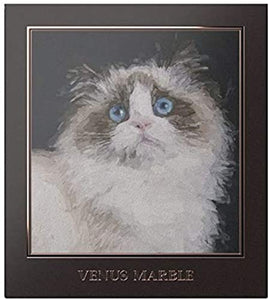 Venus Marble Eye Shadow Cat Series (Ragdoll) 1 piece