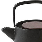 Ikenaga Ironwork Nambu Ironware Teapot, Iron Tetu, Made in Japan