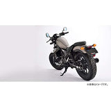 Magical Racing (Magical Racing) Meter Viser Ren Renb 250 REBEL250 Aya Tarbon Carbon TCW The Craftsman Workshop T01-REB217-040A