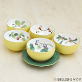 Koransha Yamadayori Tea Cup Set, 5 Pieces, Arita Ware Made in Japan, Hot Water with Tree Nuts Design to Decorate the Four Seasons Scenery, Vibrant and Beautiful Yellow Color, Bright and Gorgeous Atmosphere,
