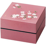 Masakazu [Well, Bunk] 15cm Hors D'oeuvres Double Akebono cherry