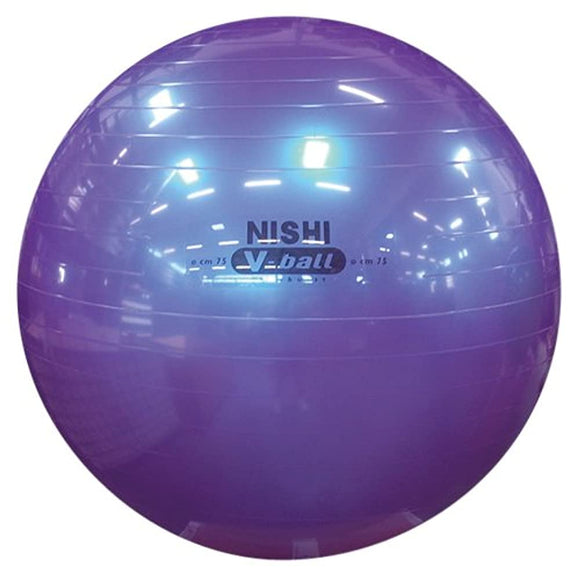 Nishi (Whelk, Sports) Balance Ball Non Burst V Ball