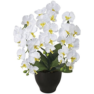 Phalaenopsis Celestial W 20A100 Artificial Photocatalyst Artificial Flowers Paradise