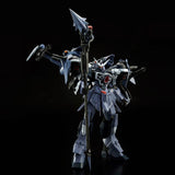 Full MECHANICS 1/100 Ale Calamity Gundam Mobile Suit Gundam SEED ECLIPSE