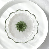 HARIO CDB-3012-W Tea Dripper Bouquet Server Set, For 1 to 4 Cups, White, Made in Japan