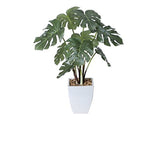 Photocatalyst Artificial Decorative Plants, Paradise of Light, Monstera Pot 433A60