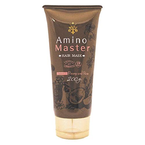 Amino master hair mask hair treatment 200g