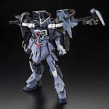 Full MECHANICS 1/100 Ale Calamity Gundam Mobile Suit Gundam SEED ECLIPSE