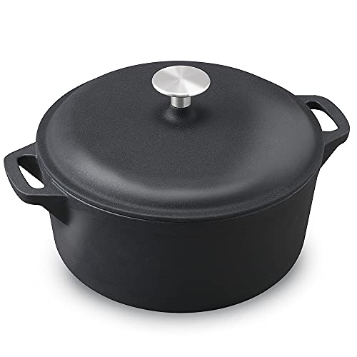Iris Ohyama Anhydrous pot Hollow pot Two-handed pot Cast iron pot 24cm Can be cooked in the oven Fashionable and durable Black CTP-24