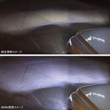 VALENTI Valenti LFG01-65 Jewel LED Exchanging Fog Valve 6500K White