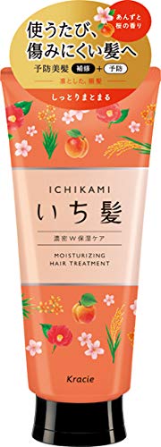 Ichikami Dense W Moisturizing Care Treatment 180g