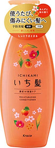 Ichikami Dense W Moisturizing Care Conditioner Pump 480g