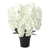 Photocatalyst, Artificial Flowers, Light Paradise, Premium Phalaenopsis 7 W 658A250