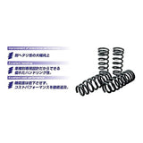 5zigen SUPER LOWEEEING ZGT-301 WISH/X-TRAIL