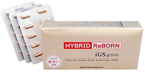 Hybrid Reborn HYBRID ReBORN 30 Capsules (Approx. 1 Month Supply)