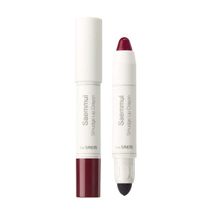 The SAEM Japan Official (the SAEM) Saemmul Smudge Lip Crayon RD02 2.5g 0240