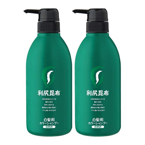 Rishiri Color Shampoo Set of 2 Economical Size (Natural Brown)